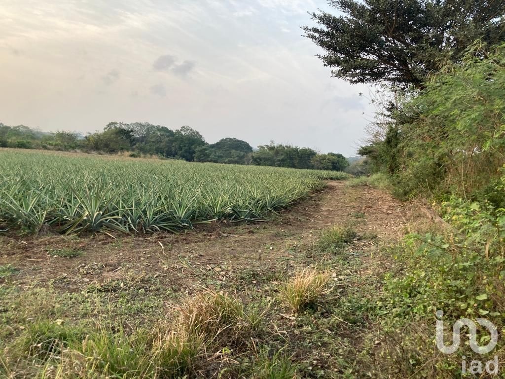 Terreno en venta en Los Robles, Veracruz