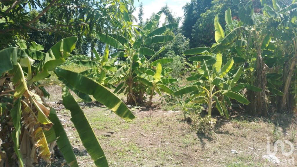 TERRENO EN VENTA EN PLAYA DE VACAS EN MEDELLIN DE BRAVO, VERACRUZ.