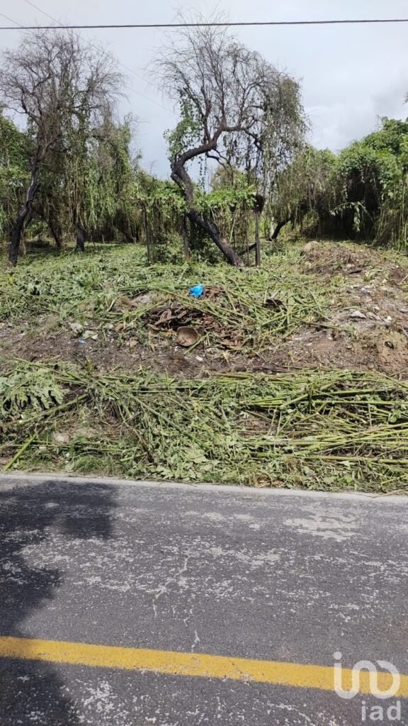 Terreno en Venta frente al Lago de Tequesquitengo, Jojutla, Morelos