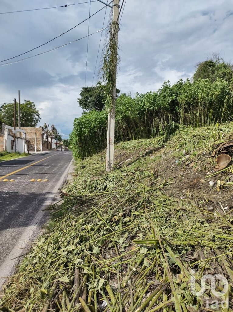 Terreno en Venta frente al Lago de Tequesquitengo, Jojutla, Morelos - 0d0d8a5024e0