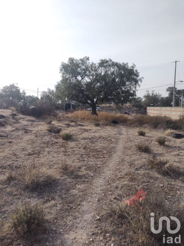 Terreno en Venta en Amaque, Mineral de la Reforma