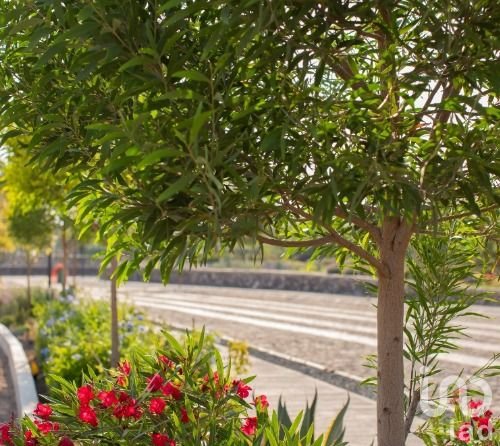 Terreno en venta en Corregidora, Querétaro