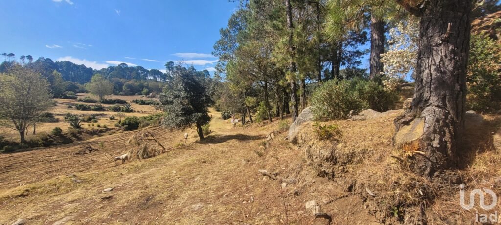 Se vende terreno en Omitlan, Hidalgo.