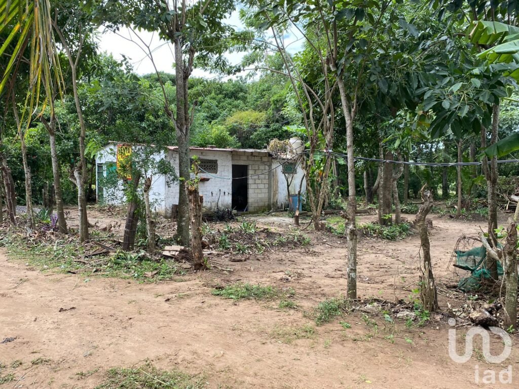 TERRENO EN VENTA EN LA GLORIA, PASO DEL TORO, MEDELLÍN DE BRAVO, VER.