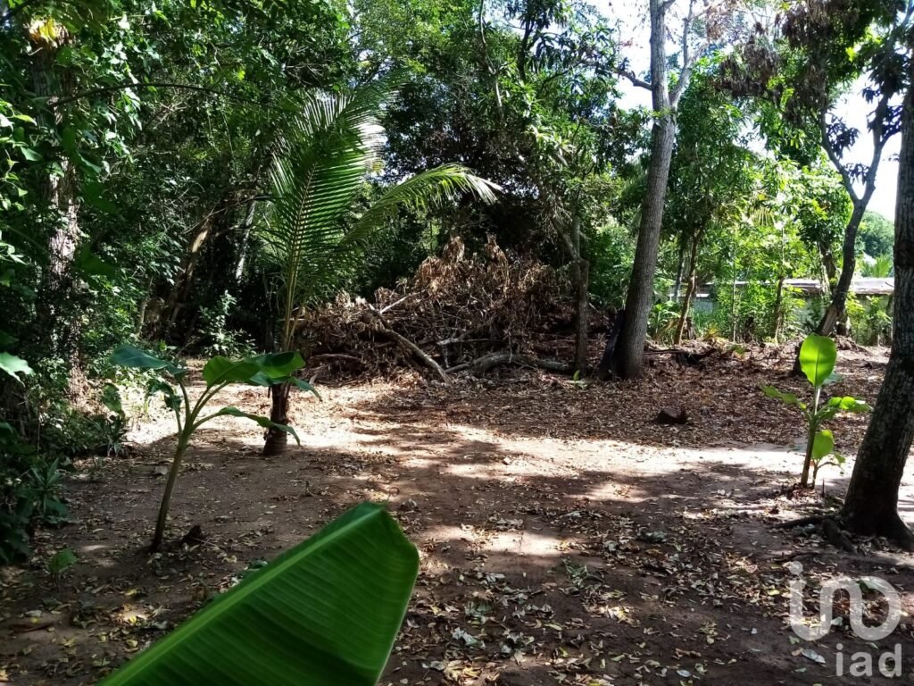 TERRENO EN VENTA EN LA GLORIA, PASO DEL TORO, MEDELLÍN DE BRAVO, VER.