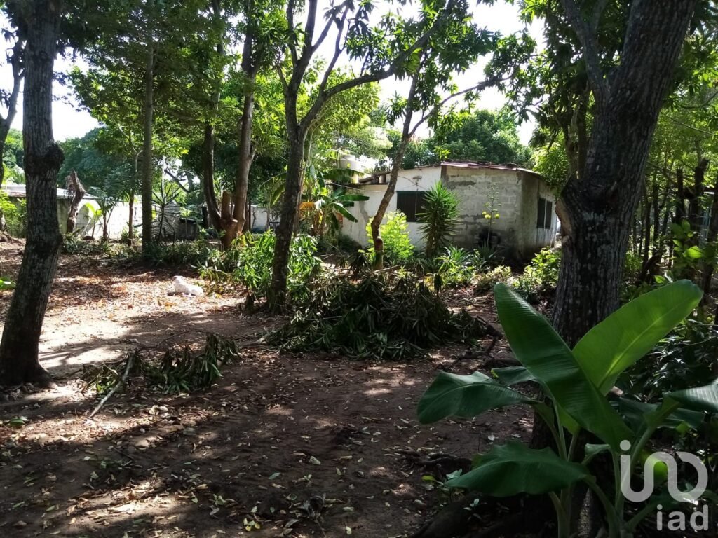 TERRENO EN VENTA EN LA GLORIA, PASO DEL TORO, MEDELLÍN DE BRAVO, VER.