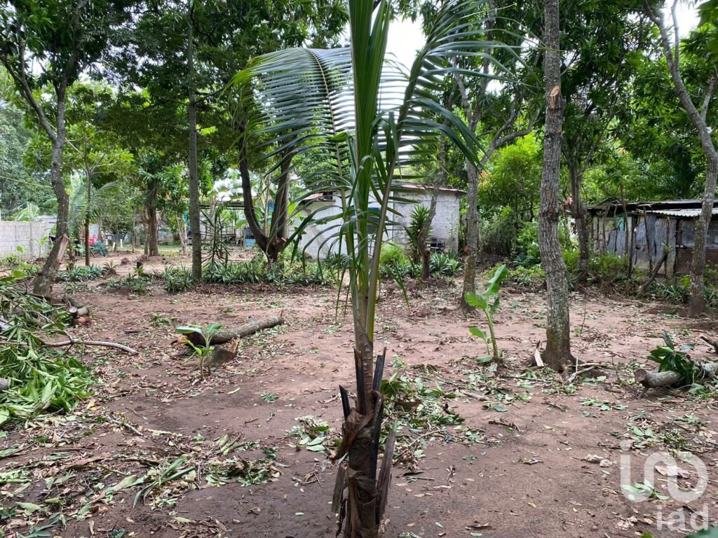 TERRENO EN VENTA EN LA GLORIA, PASO DEL TORO, MEDELLÍN DE BRAVO, VER.