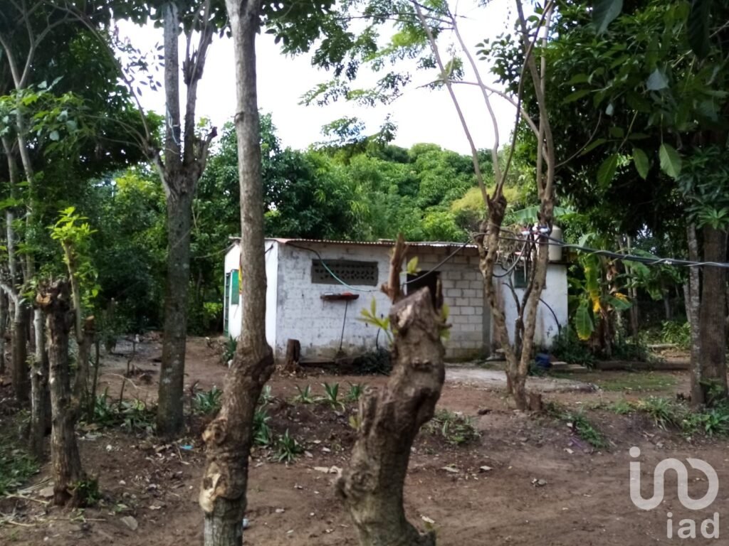 TERRENO EN VENTA EN LA GLORIA, PASO DEL TORO, MEDELLÍN DE BRAVO, VER.