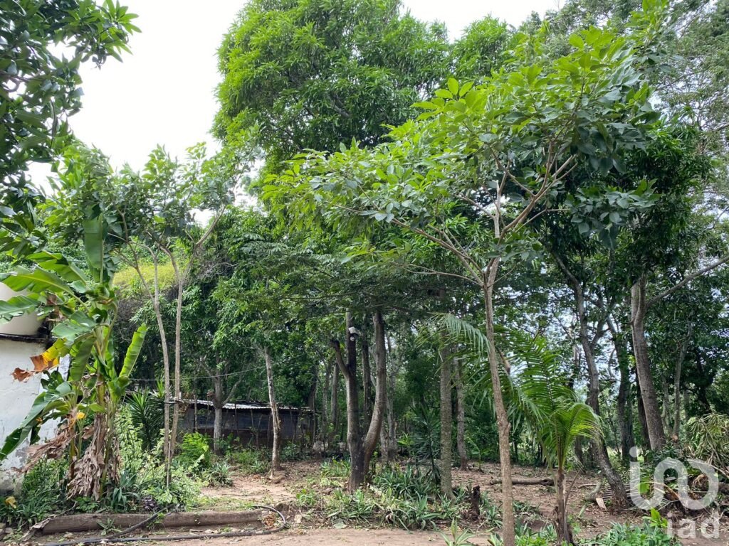 TERRENO EN VENTA EN LA GLORIA, PASO DEL TORO, MEDELLÍN DE BRAVO, VER.