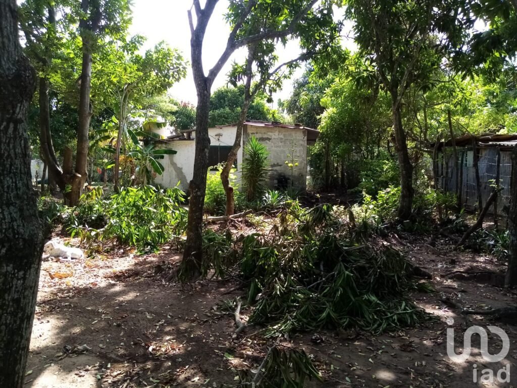 TERRENO EN VENTA EN LA GLORIA, PASO DEL TORO, MEDELLÍN DE BRAVO, VER.