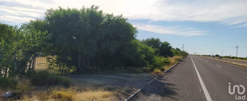 TERRENO 2.56 HECTÁREAS A ORILLA DE CARRETERA EN SAN PEDRO