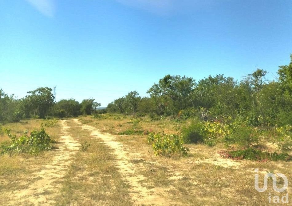 TERRENO 2.56 HECTÁREAS A ORILLA DE CARRETERA EN SAN PEDRO