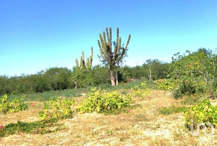 TERRENO 2.56 HECTÁREAS A ORILLA DE CARRETERA EN SAN PEDRO