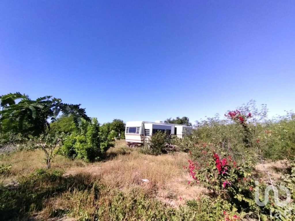 TERRENO 2.56 HECTÁREAS A ORILLA DE CARRETERA EN SAN PEDRO