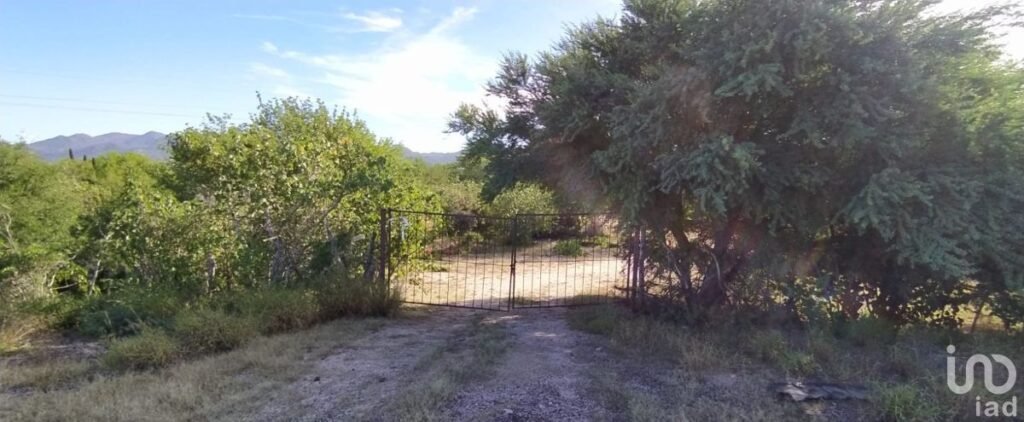 TERRENO 2.56 HECTÁREAS A ORILLA DE CARRETERA EN SAN PEDRO