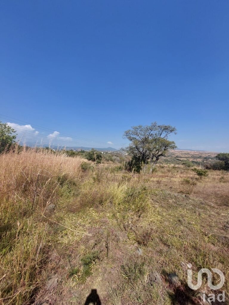 TERRENO EN VENTA EN TLAYACAPAN, MORELOS