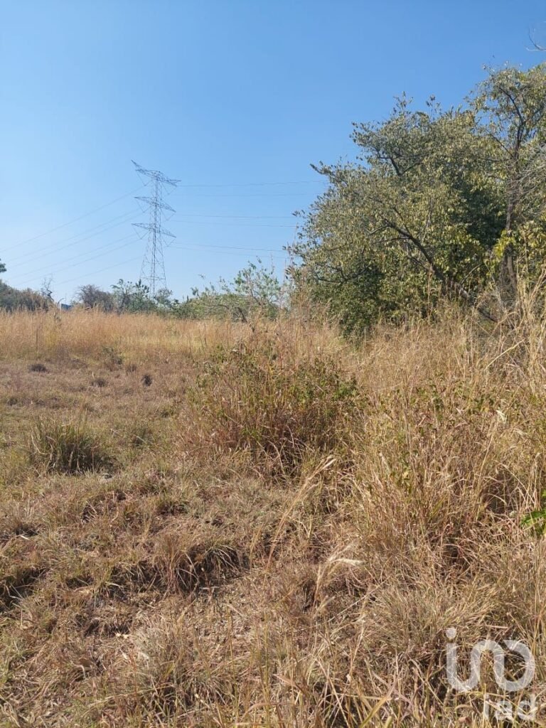 TERRENO EN VENTA EN TLAYACAPAN, MORELOS