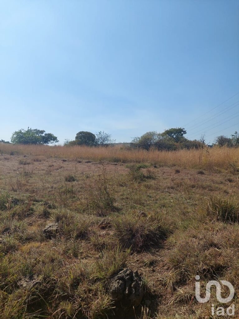 TERRENO EN VENTA EN TLAYACAPAN, MORELOS