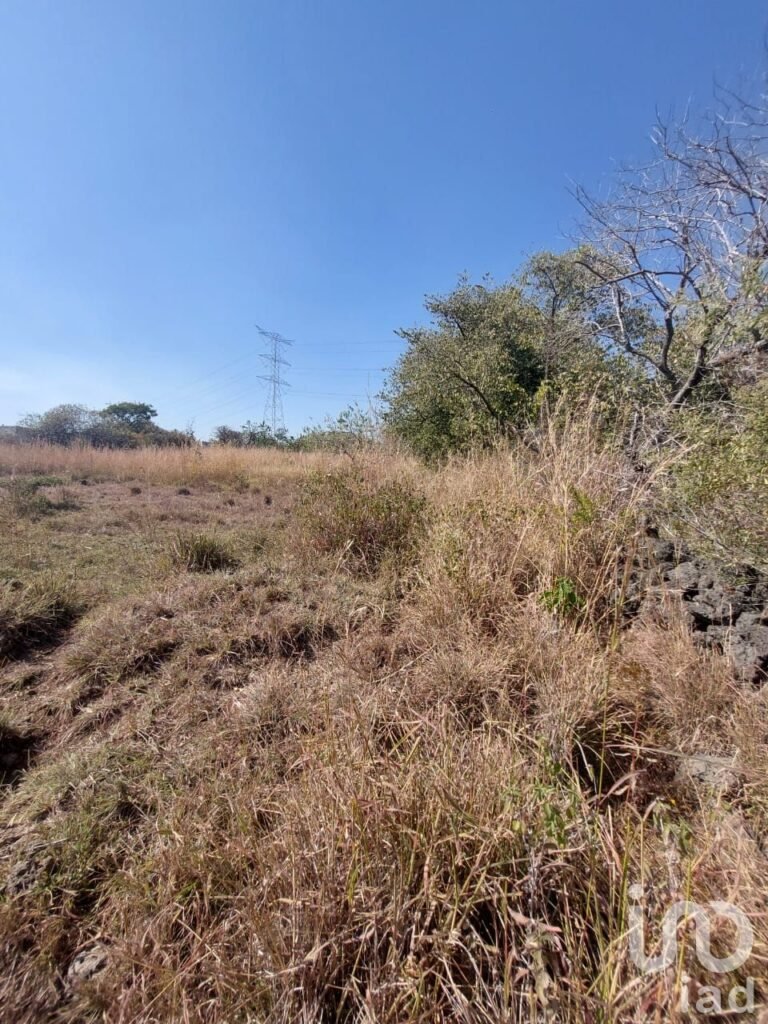 TERRENO EN VENTA EN TLAYACAPAN, MORELOS
