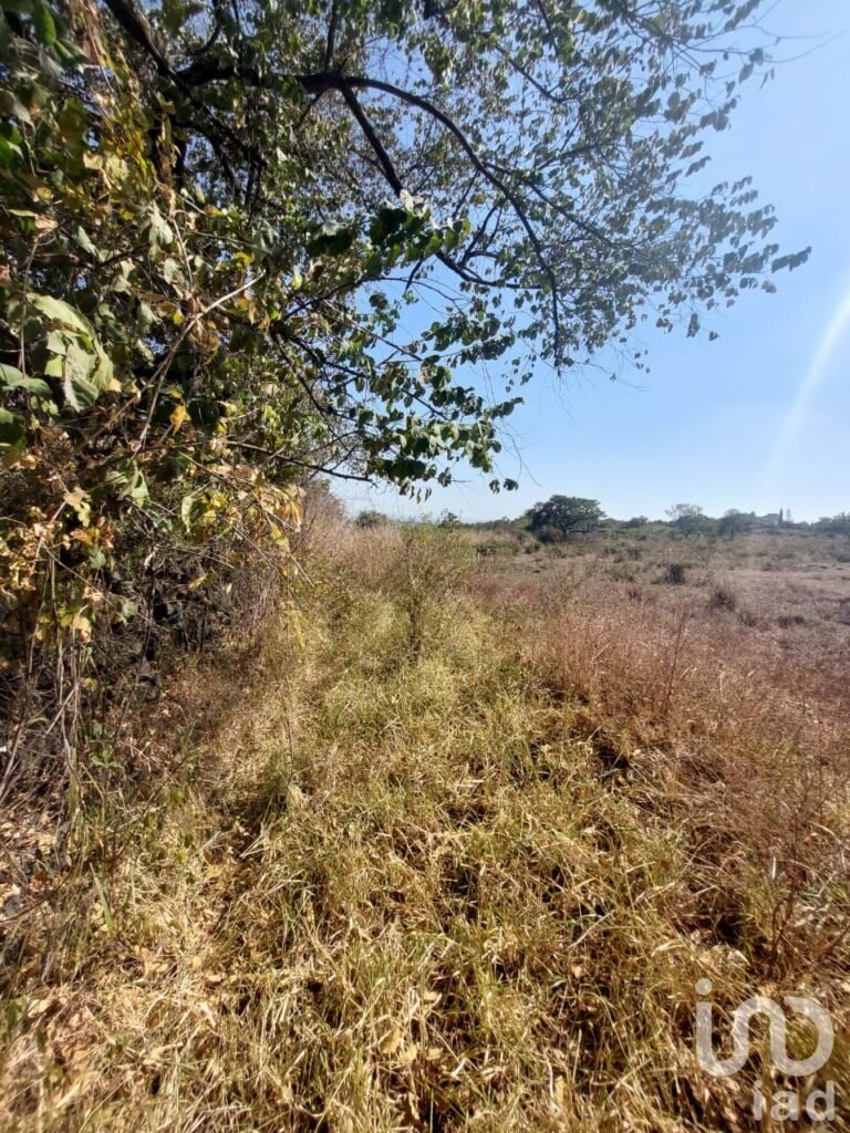 TERRENO EN VENTA EN TLAYACAPAN, MORELOS