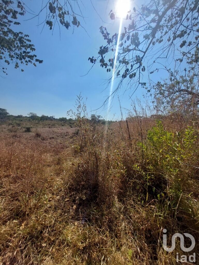 TERRENO EN VENTA EN TLAYACAPAN, MORELOS