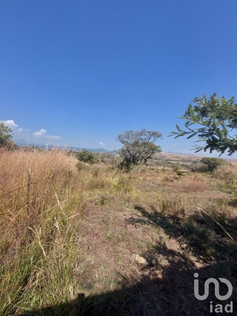 TERRENO EN VENTA EN TLAYACAPAN, MORELOS