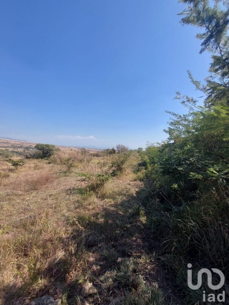 TERRENO EN VENTA EN TLAYACAPAN, MORELOS