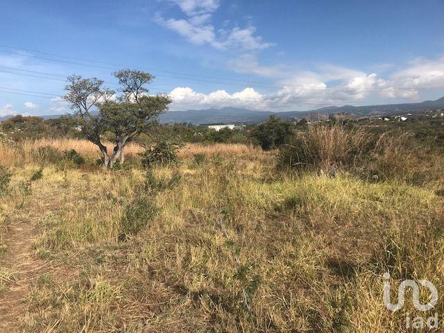 TERRENO EN VENTA EN TLAYACAPAN, MORELOS TERRENO EN VENTA EN TLAYACAPAN, MORELOS