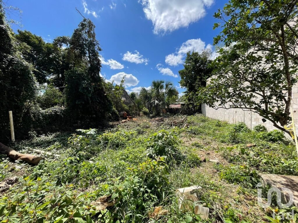TERRENO EN AVENIDA PRINCIPAL EN JOSE MARIA MORELOS, QUINTANA ROO