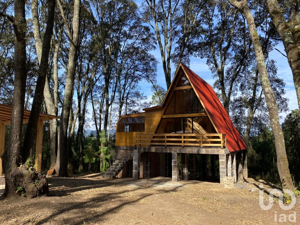 Venta de terreno en el bosque en Omitlán