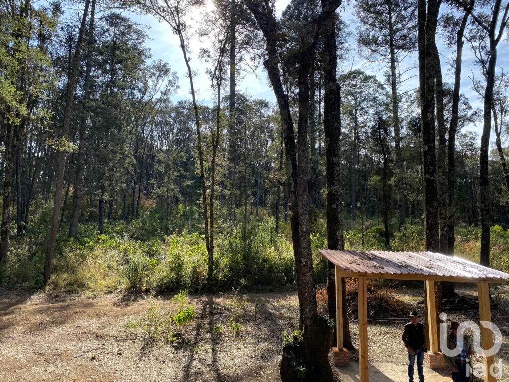 Venta de terreno en el bosque en Omitlán