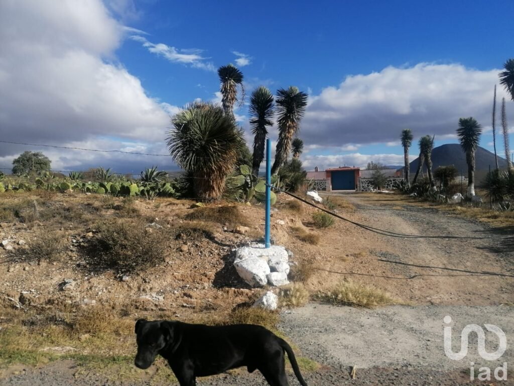 TERRERO EN VENTA, SAN JUAN TIZAHUAPAN, MUNICIPIO EPAZOYUCA, PACHUCA HGO.