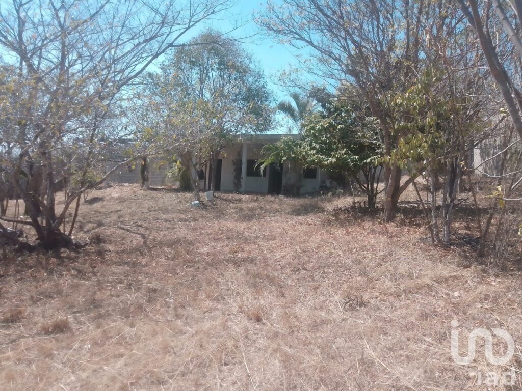 Terreno en Venta en Plan de Ayala, a 5 minutos del Balneario Ejidal San Agustín El Aguaje