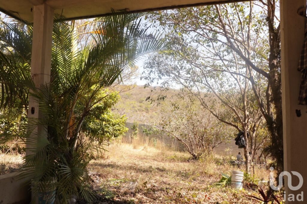 Terreno en Venta en Plan de Ayala, a 5 minutos del Balneario Ejidal San Agustín El Aguaje