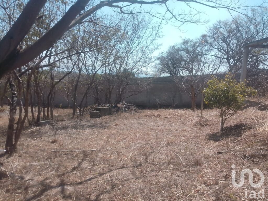 Terreno en Venta en Plan de Ayala, a 5 minutos del Balneario Ejidal San Agustín El Aguaje