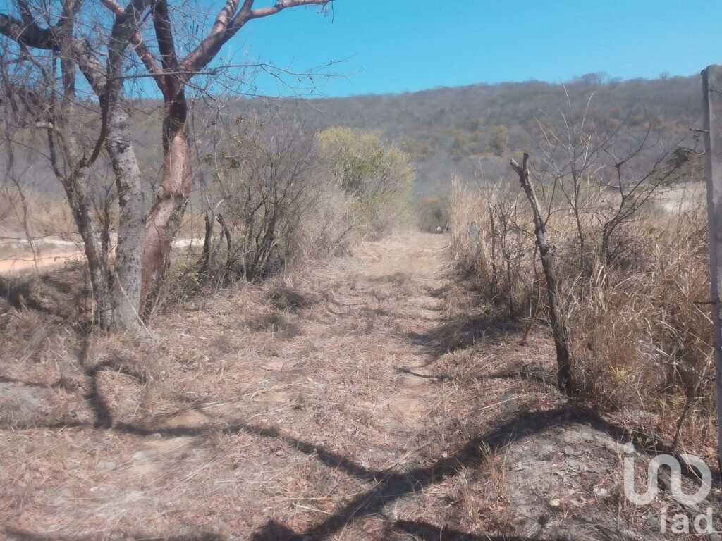 Terreno en Venta en Plan de Ayala, a 5 minutos del Balneario Ejidal San Agustín El Aguaje