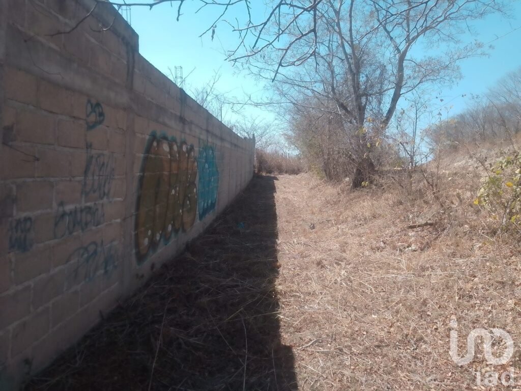 Terreno en Venta en Plan de Ayala, a 5 minutos del Balneario Ejidal San Agustín El Aguaje