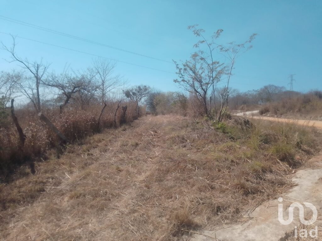 Terreno en Venta en Plan de Ayala, a 5 minutos del Balneario Ejidal San Agustín El Aguaje