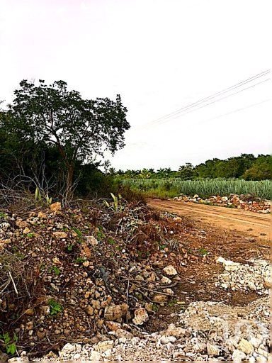 Terreno en Venta Hunucmá  de la playa sisal, Yucatan