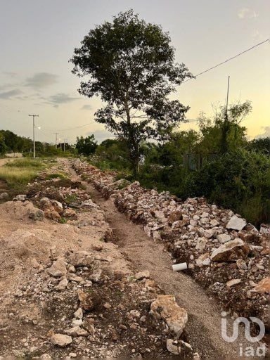 Terreno en Venta Hunucmá de la playa sisal, Yucatan Terreno en Venta Hunucmá de la playa sisal, Yucatan
