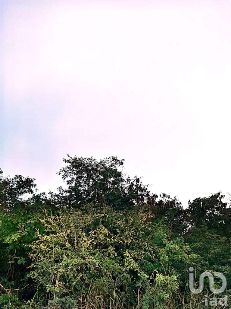 TERRENO EN VENTA EN MÉRIDA EN MISNE BALAM, YUCATÁN