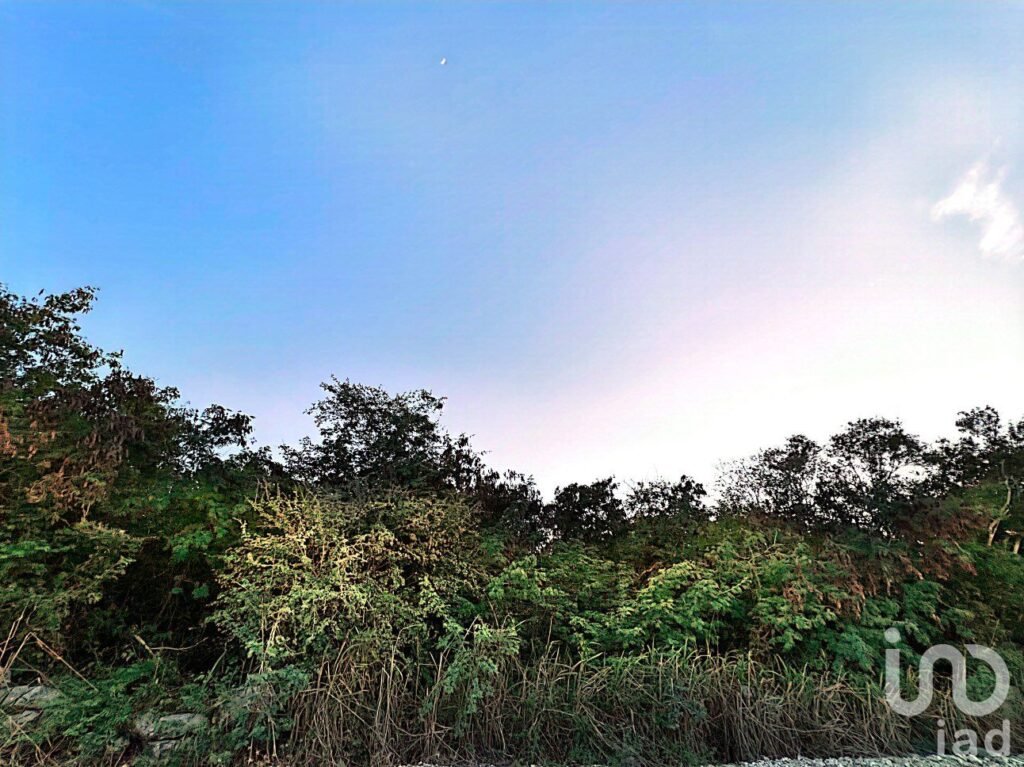 TERRENO EN VENTA EN MÉRIDA EN MISNE BALAM, YUCATÁN - 1941421 terreno en venta terreno en venta en merida en misne balam yucatan 161665