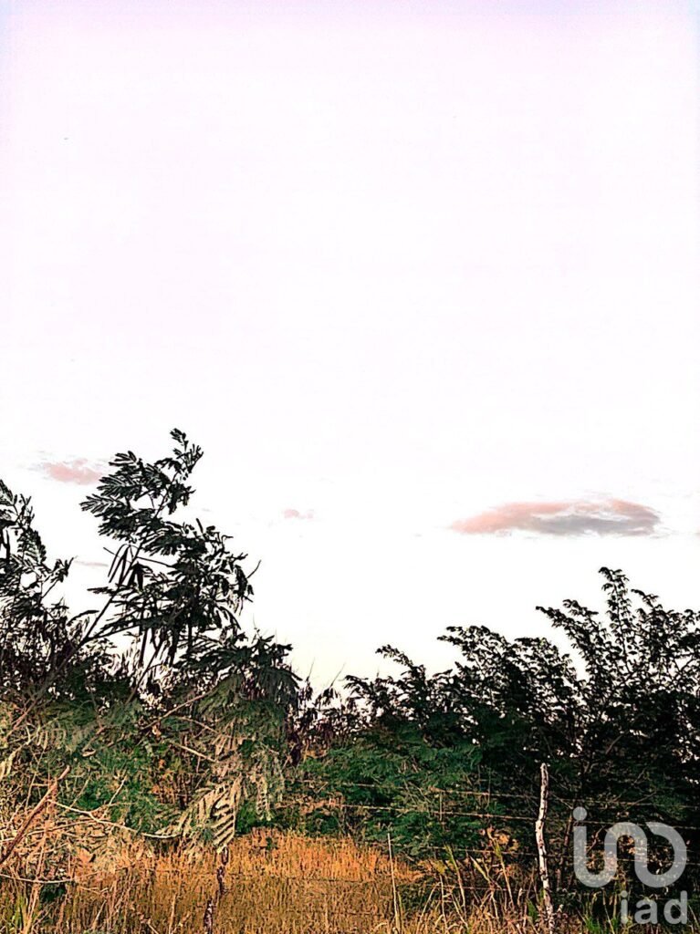 TERRENO EN VENTA EN MÉRIDA EN MISNE BALAM, YUCATÁN