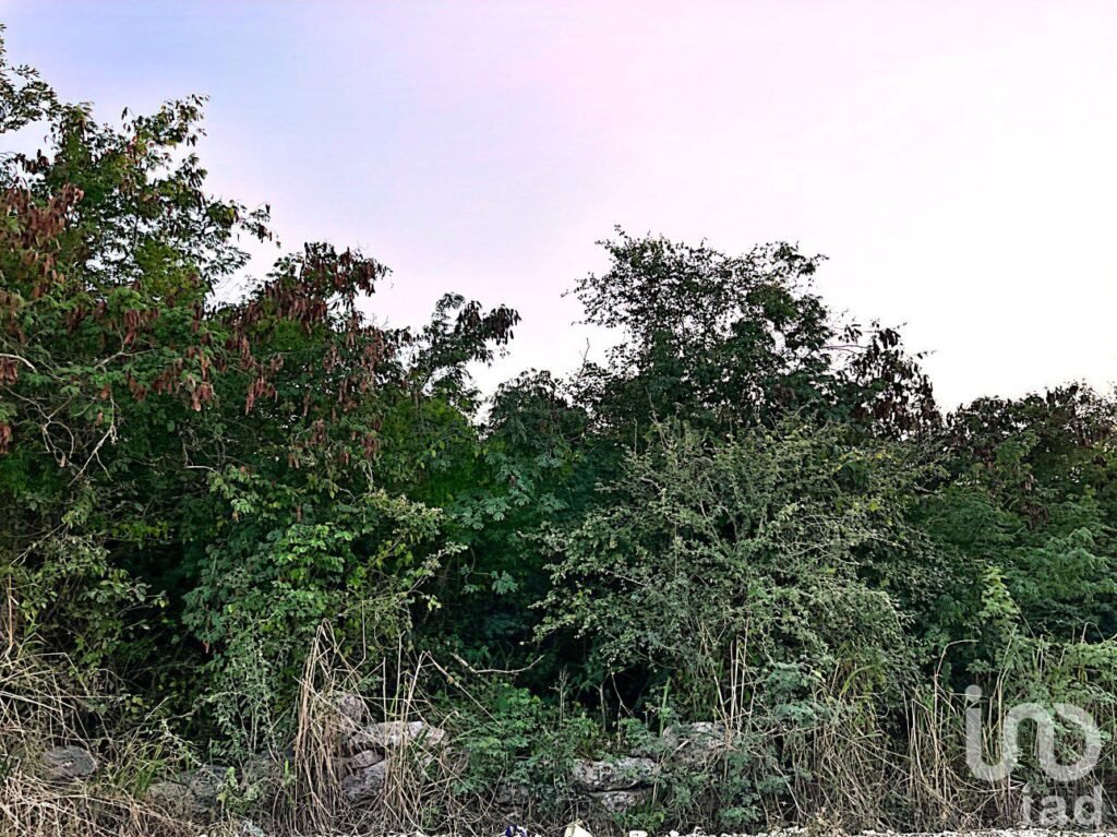TERRENO EN VENTA EN MÉRIDA EN MISNE BALAM, YUCATÁN