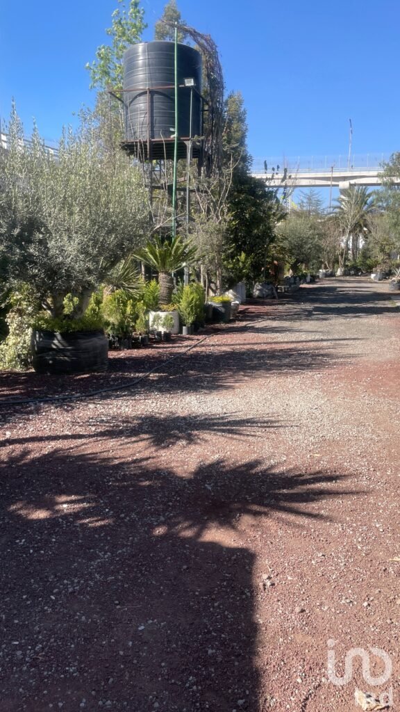 TERRENO EN RENTA EN PACHUCA, HIDALGO