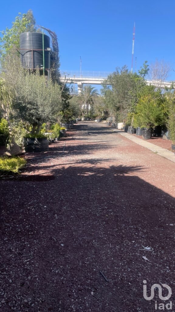 TERRENO EN RENTA EN PACHUCA, HIDALGO