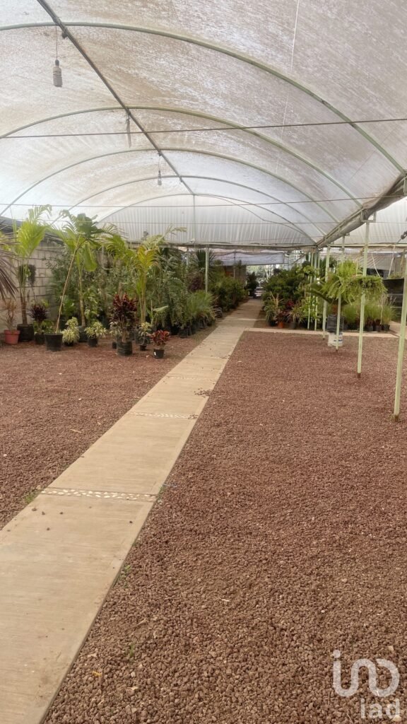 TERRENO EN RENTA EN PACHUCA, HIDALGO