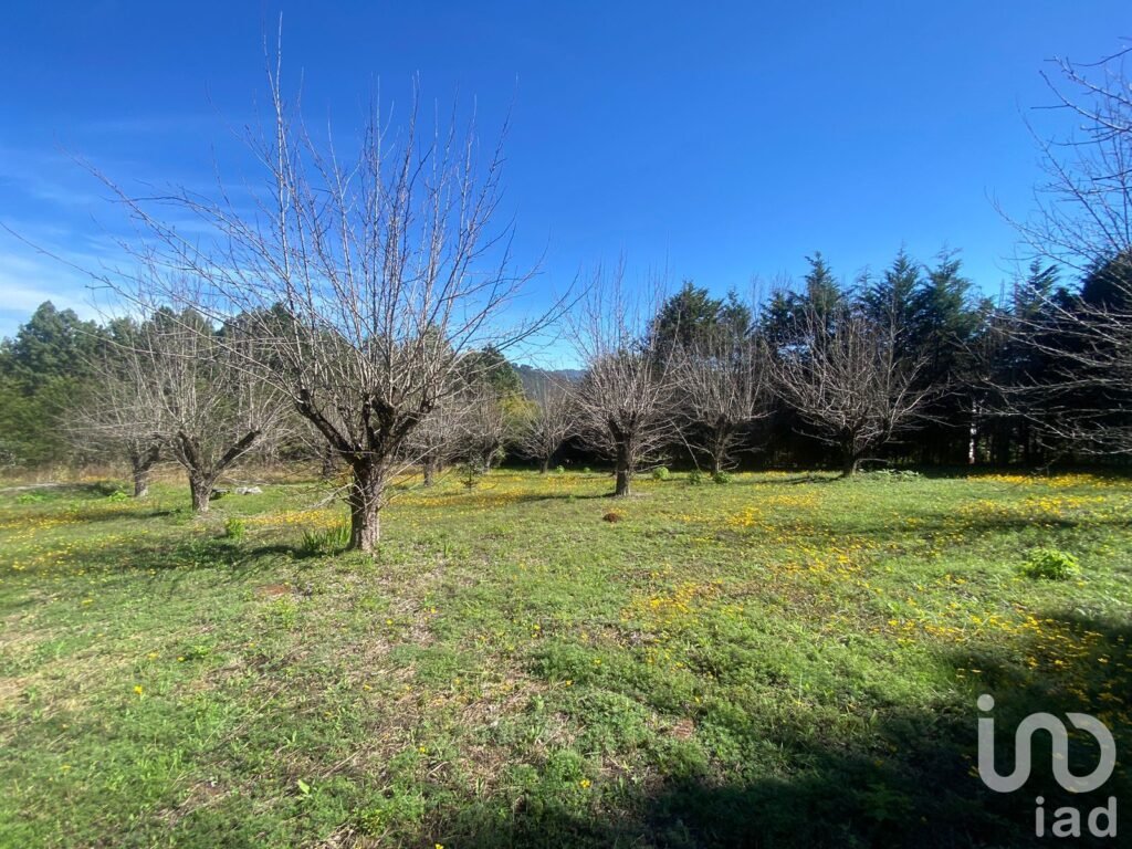 Se Vende Terreno en Circuito Las Peras, San Cristóbal de Las Casas