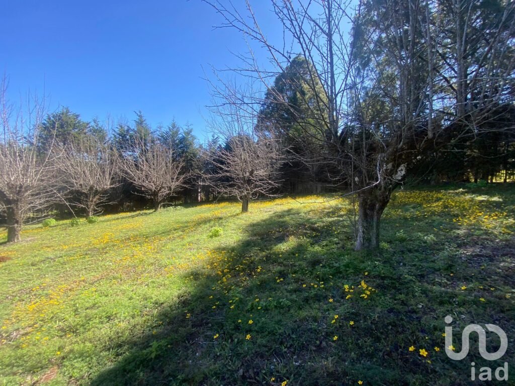 Se Vende Terreno en Circuito Las Peras, San Cristóbal de Las Casas