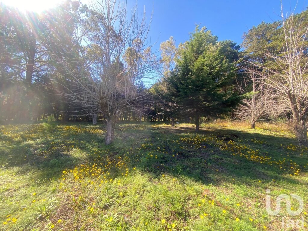 Se Vende Terreno en Circuito Las Peras, San Cristóbal de Las Casas